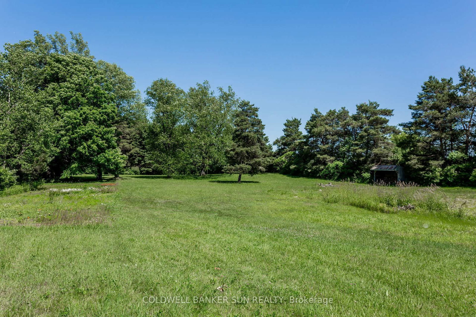 Listing Image 35