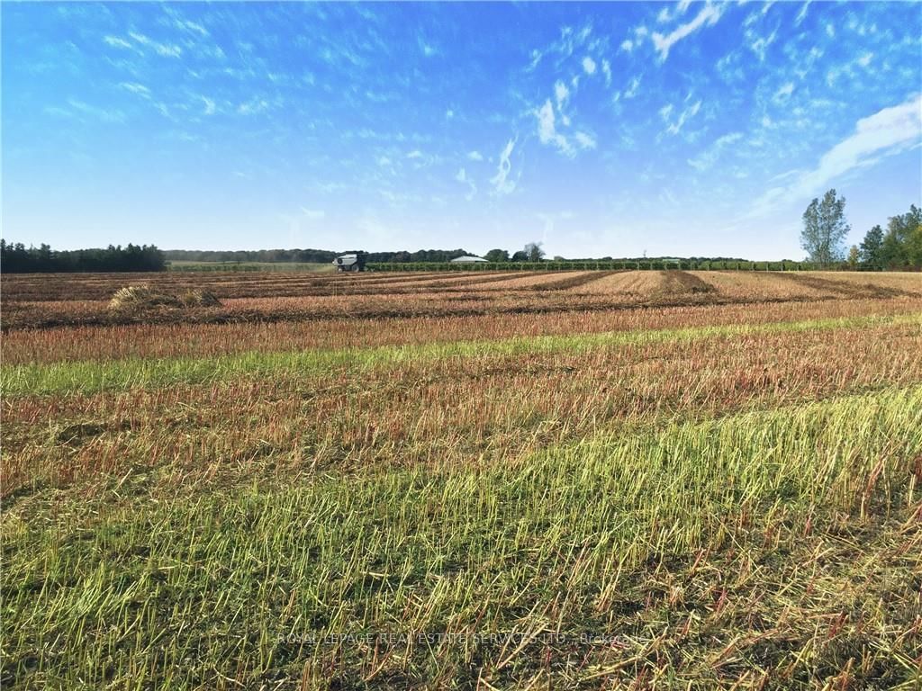 Listing Image 40