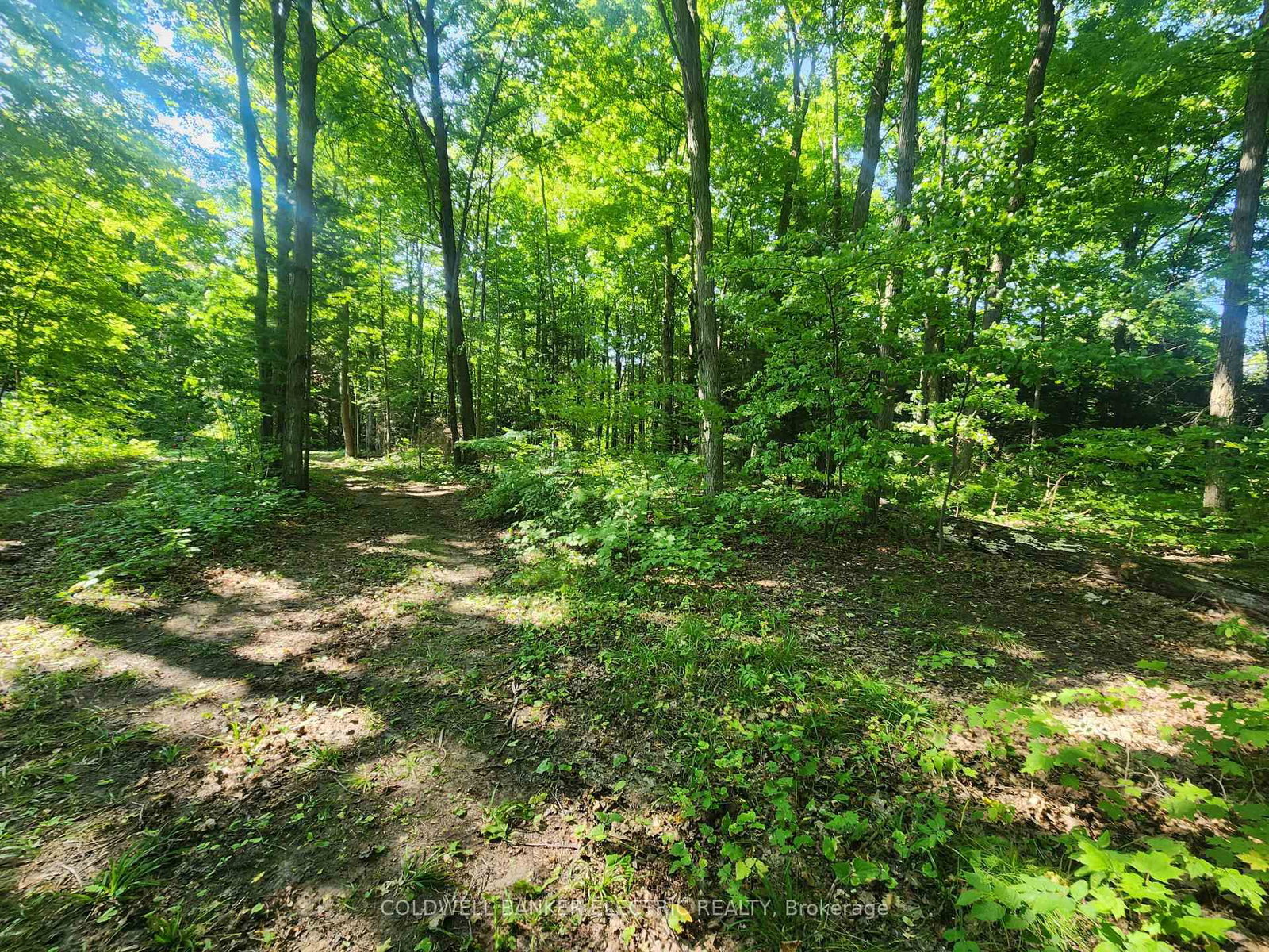 Listing Image 35