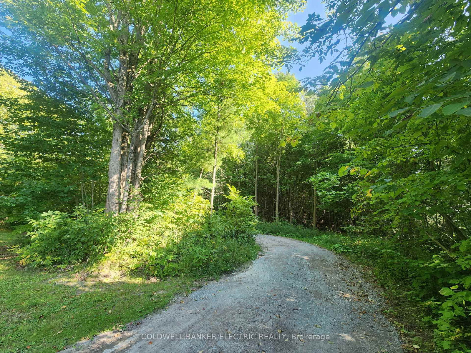 Listing Image 36