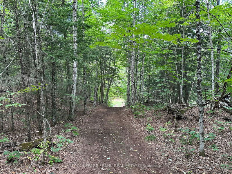 home for sale on PT LT28 Loom Lake Road