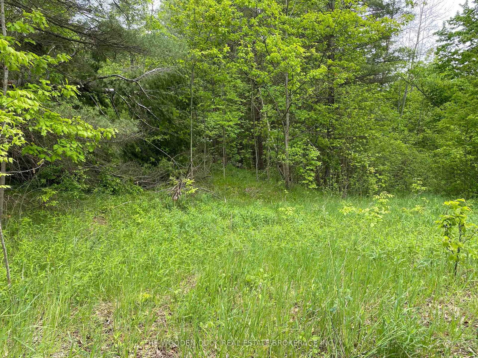 Vacant Land for sale at 1915 County Road 48 Road, Havelock-Belmont-Methuen, Rural Havelock-Belmont-Methuen, K0L 1Z0 - MLS: X9343391