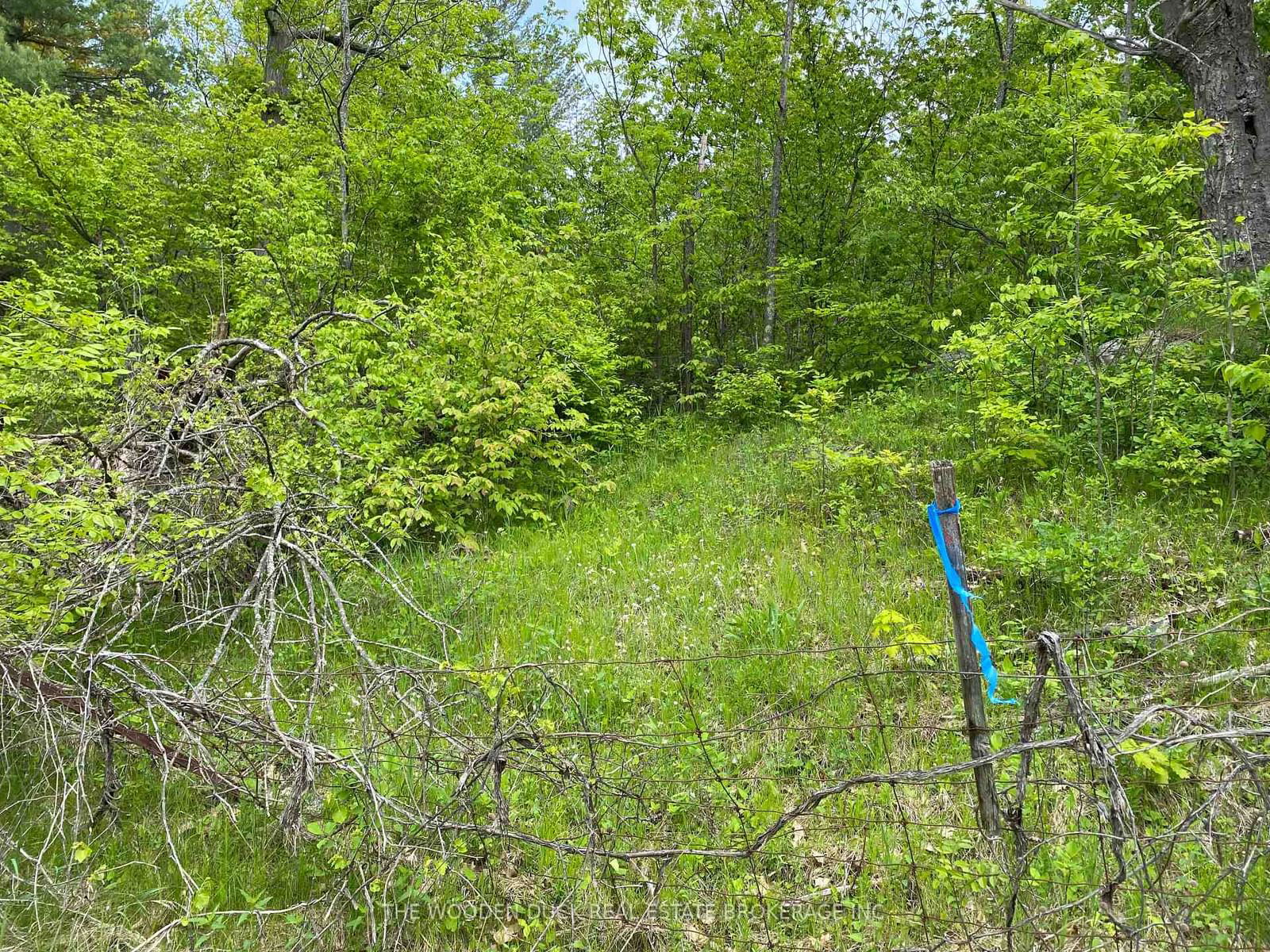 Vacant Land for sale at 1915 County Road 48 Road, Havelock-Belmont-Methuen, Rural Havelock-Belmont-Methuen, K0L 1Z0 - MLS: X9343391