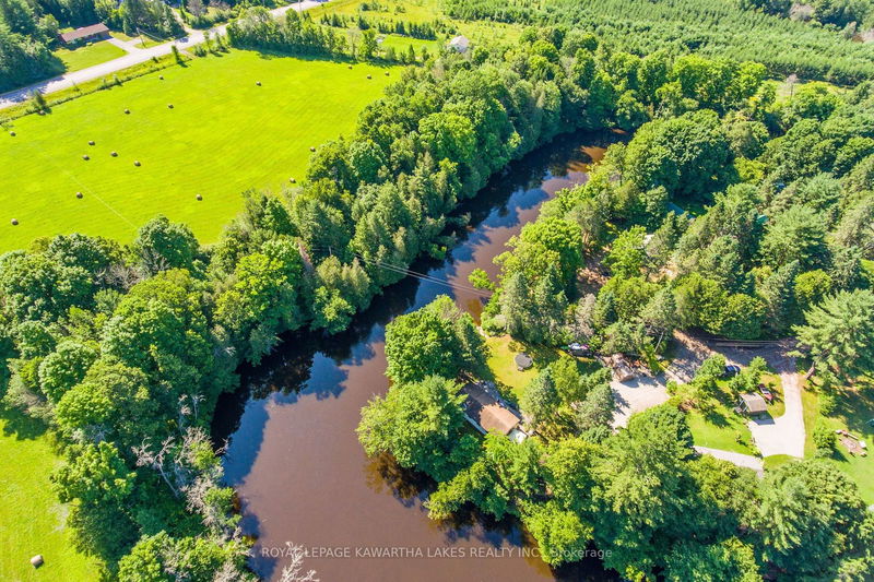 2433 County Road 121 Rd  Kawartha Lakes, K0M 1C0 | Image 30