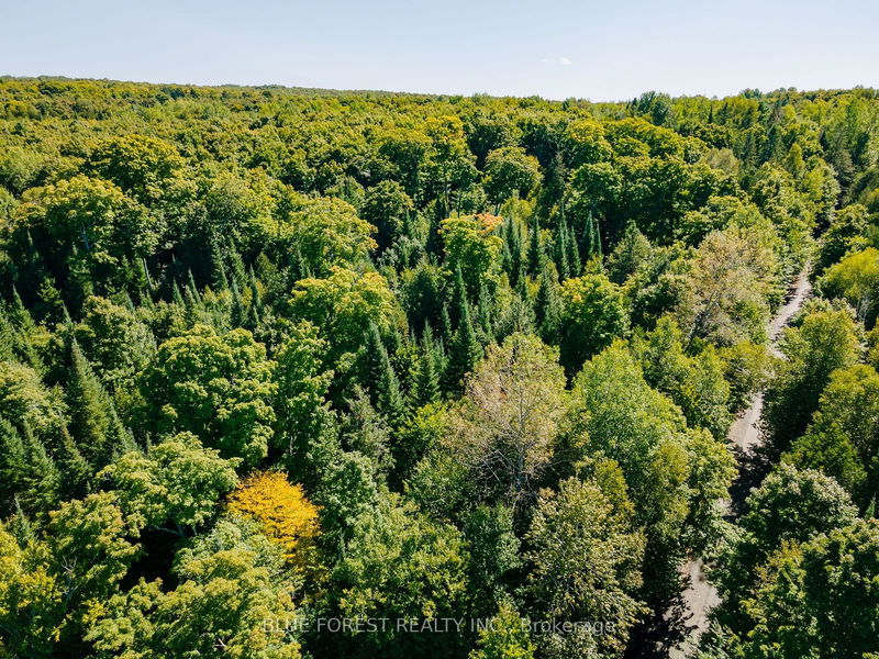 lot 69 25th Line  Algonquin Highlands, K0M 1J1 | Image 28