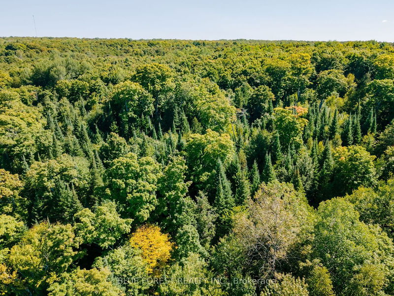 lot 69 25th Line  Algonquin Highlands, K0M 1J1 | Image 30