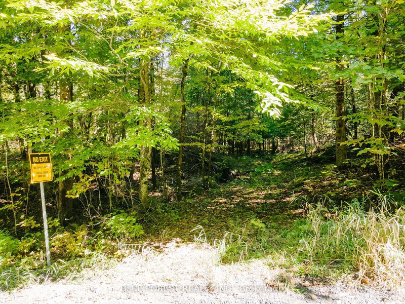 lot 69 25th Line  Algonquin Highlands, K0M 1J1 | Image 32