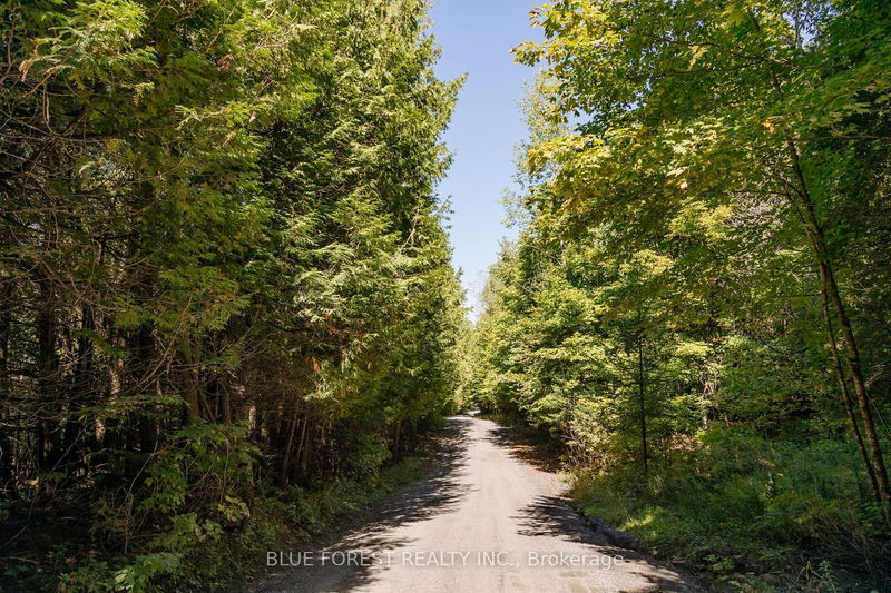 lot 69 25th Line  Algonquin Highlands, K0M 1J1 | Image 6