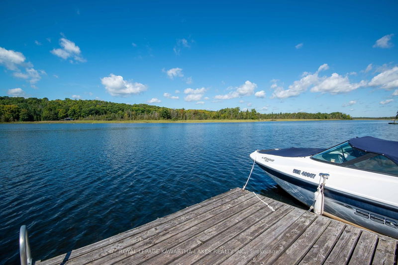 34 Deweys Island   Kawartha Lakes, K0M 1N0 | Image 24