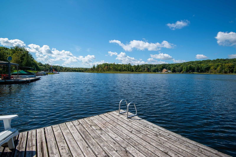 34 Deweys Island   Kawartha Lakes, K0M 1N0 | Image 25