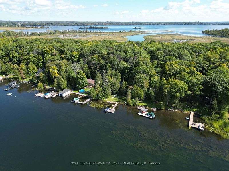 34 Deweys Island   Kawartha Lakes, K0M 1N0 | Image 28