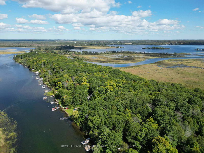 34 Deweys Island   Kawartha Lakes, K0M 1N0 | Image 35