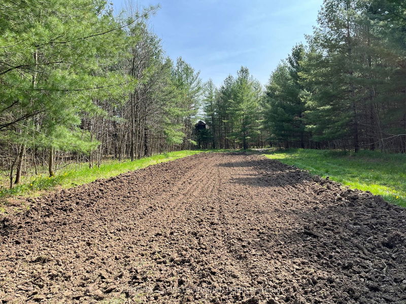 LOT 10 10th SIDEROAD NDR   West Grey, N0G 1L0 | Image 10