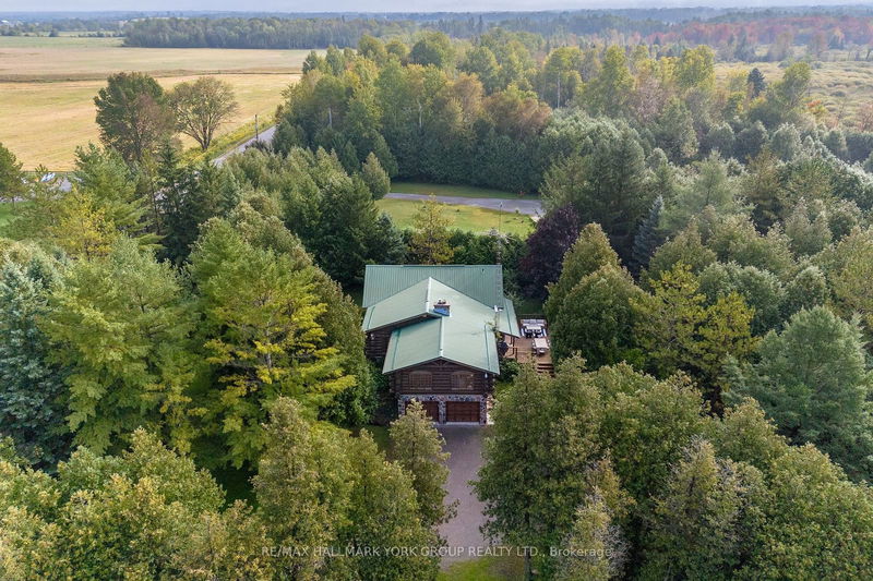 768 Tracey's Hill Rd  Kawartha Lakes, K0L 2W0 | Image 40