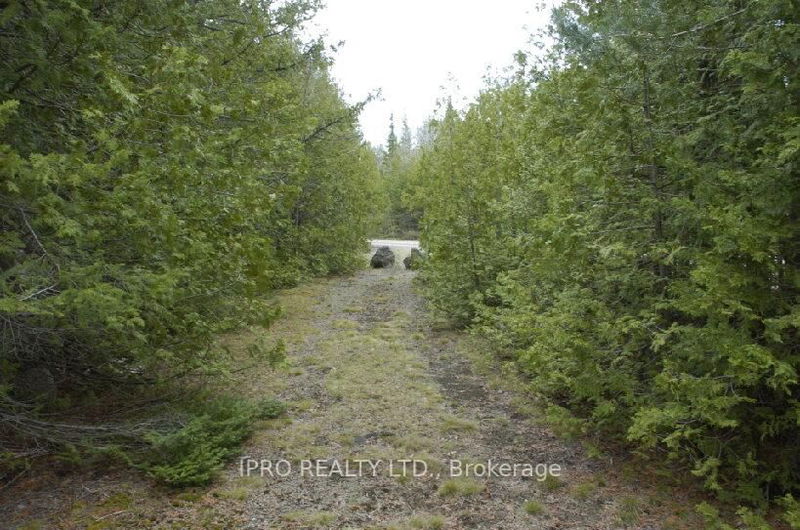 308 Ira Lake Rd  Northern Bruce Peninsula, N0H 1W0 | Image 3