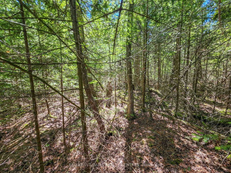 Lot 13 Trillium Crossing St  Northern Bruce Peninsula, N0H 1W0 | Image 14