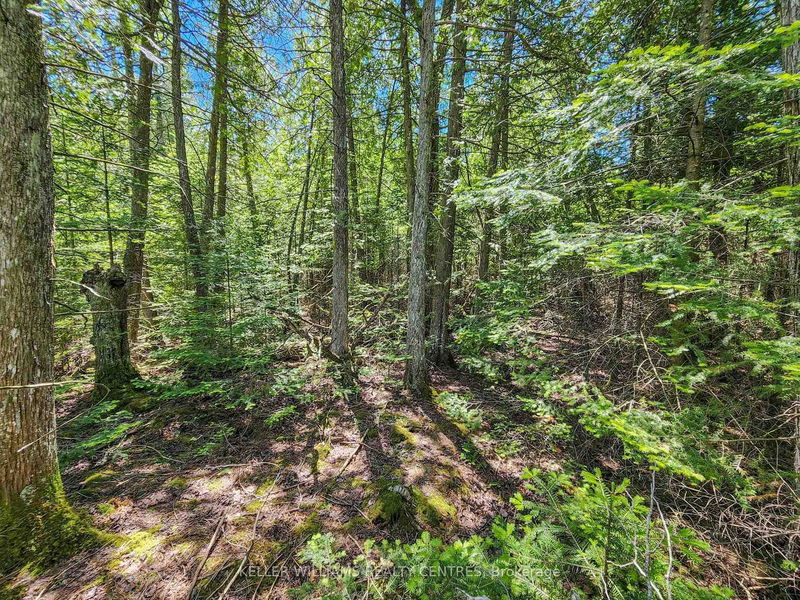 Lot 13 Trillium Crossing St  Northern Bruce Peninsula, N0H 1W0 | Image 6