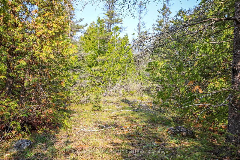 120 Little Pine Dr  Northern Bruce Peninsula, N0H 1Z0 | Image 29