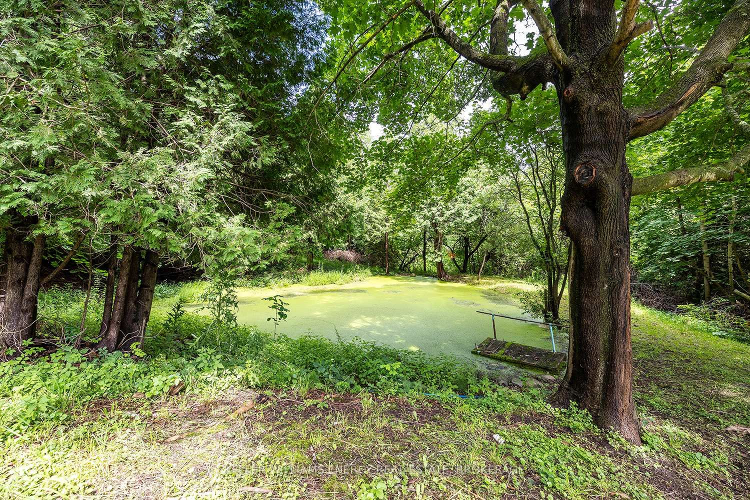 Listing Image 35
