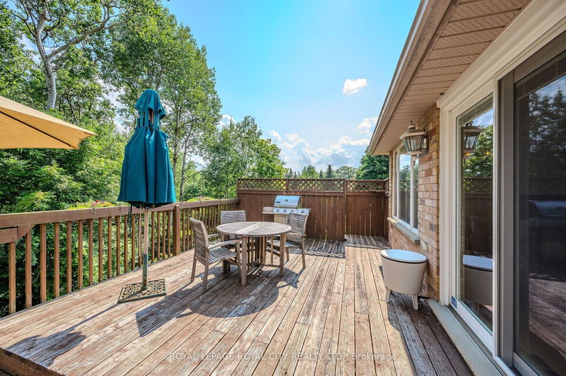 7 Whitetail Crt  Guelph, N1L 1H6 | Image 38