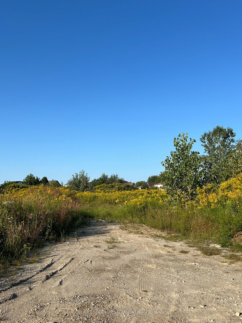 0 Walker Rd, Ingersoll, N5C 4H3 | Image 2