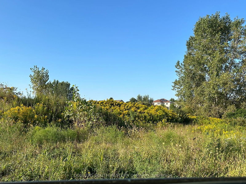 0 Walker Rd, Ingersoll, N5C 4H3 | Image 3