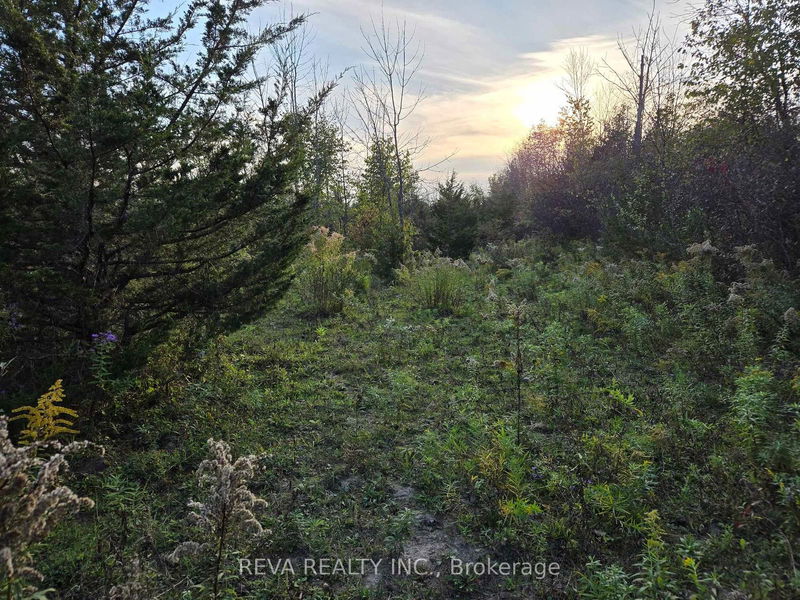 782 Shannon Rd  Tyendinaga, K0K 2V0 | Image 7