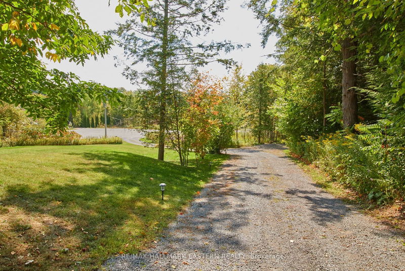 23 Woodland Tr  Kawartha Lakes, L0A 1A0 | Image 3