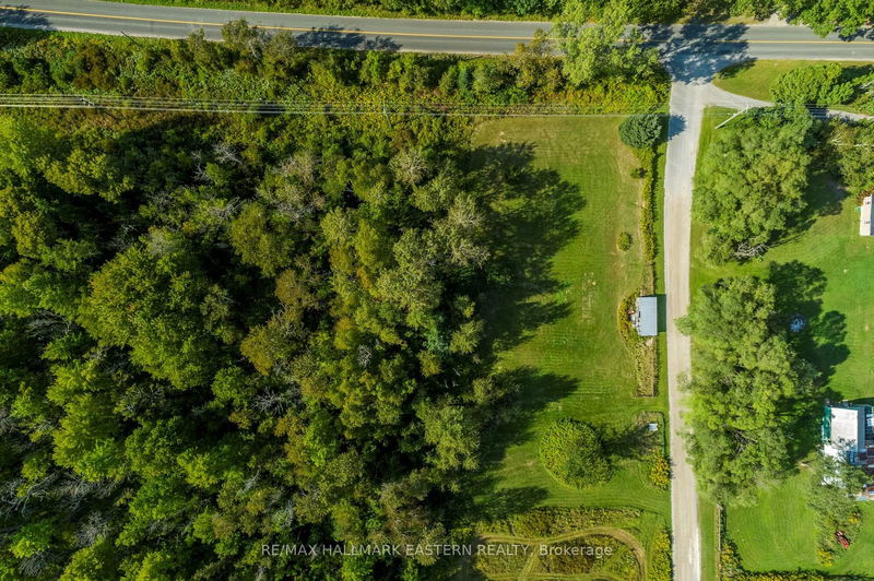 Lot 13 Trent River Rd  Trent Hills, K0L 1Z0 | Image 2