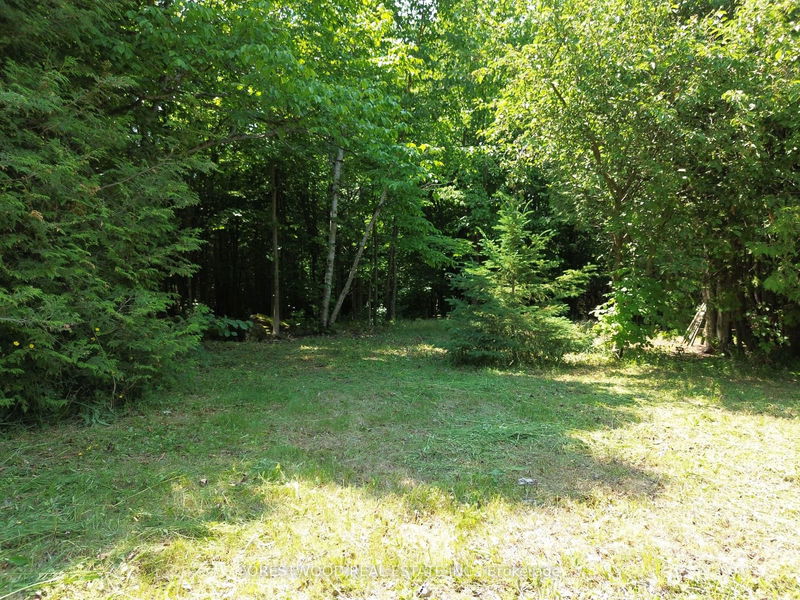 CON 5 EBR PT LOT 30  E Northern Bruce Peninsula, N0H 1W0 | Image 12