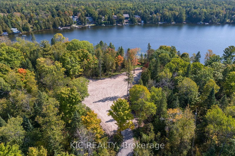 0 Pearce Rd  Kawartha Lakes, K0M 2B0 | Image 4