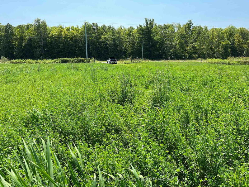 0 Webster Rd, Douro-Dummer, K0L 3A0 | Image 2