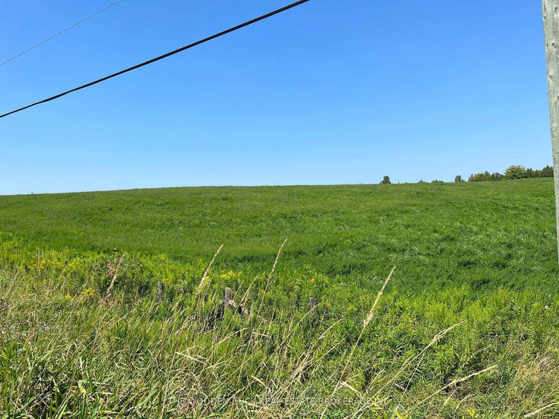 0 Webster Rd, Douro-Dummer, K0L 3A0 | Image 3