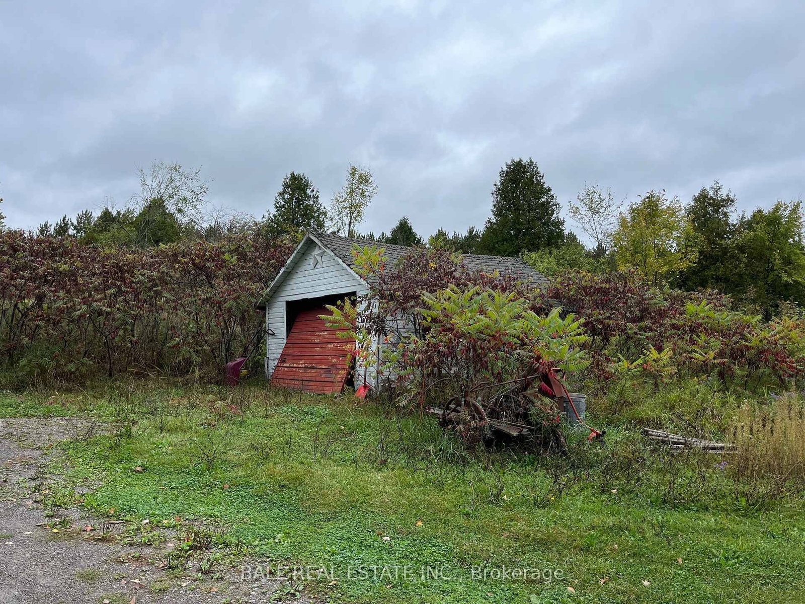 Listing Image 7