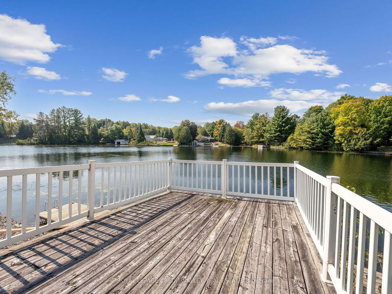 73 Stanley Rd  Kawartha Lakes, L0M 2T0 | Image 36