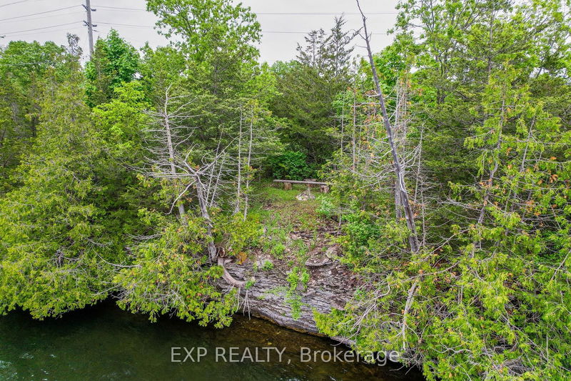 791 County Road 38   Trent Hills, K0L 1L0 | Image 36