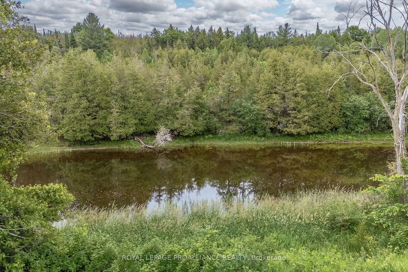 5035 BLESSINGTON Rd  Tyendinaga, K0K 2N0 | Image 18