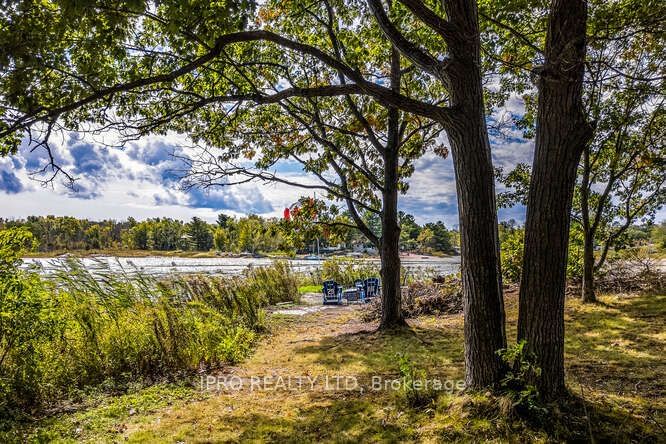 51 Harmony Rd  Georgian Bay, P0E 1E0 | Image 30