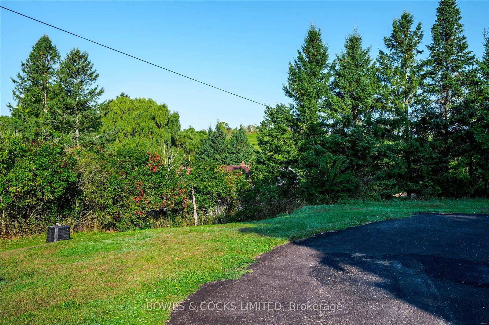 Listing Image 33