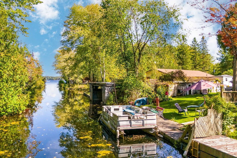 31 Jubbs Shore Rd  Kawartha Lakes, K0M 1N0 | Image 2