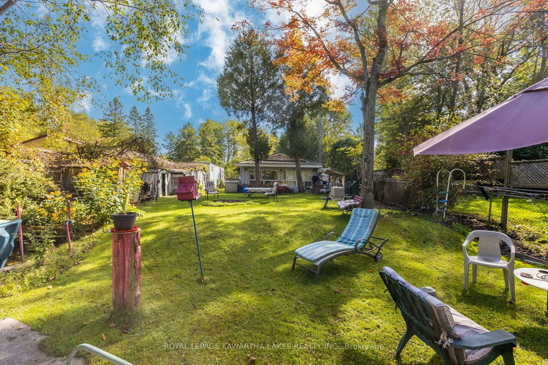 31 Jubbs Shore Rd  Kawartha Lakes, K0M 1N0 | Image 25