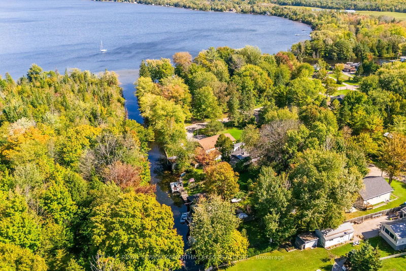 31 Jubbs Shore Rd  Kawartha Lakes, K0M 1N0 | Image 31