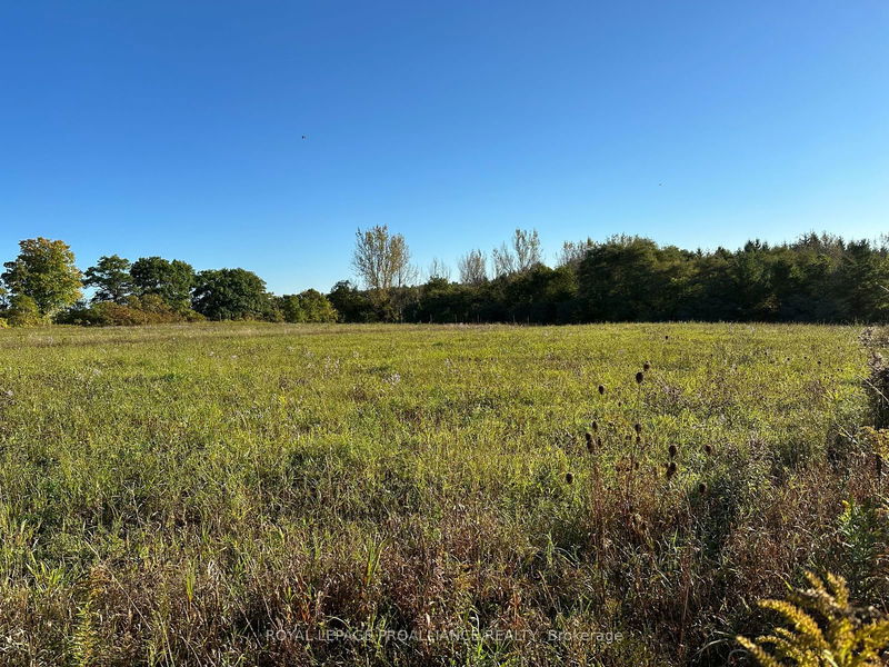 PT LT 24 County Road 9   Alnwick/Haldimand, K0K 2X0 | Image 2