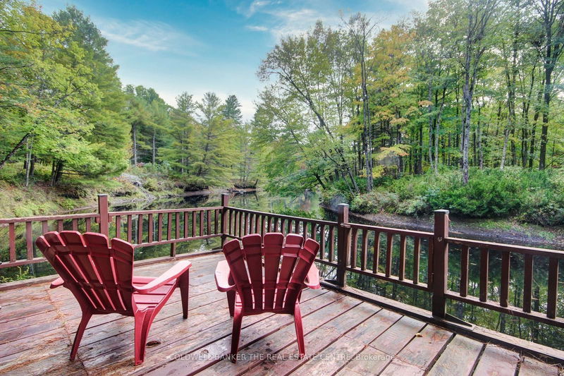 54 Black River Rd  Kawartha Lakes, L0K 2B0 | Image 2