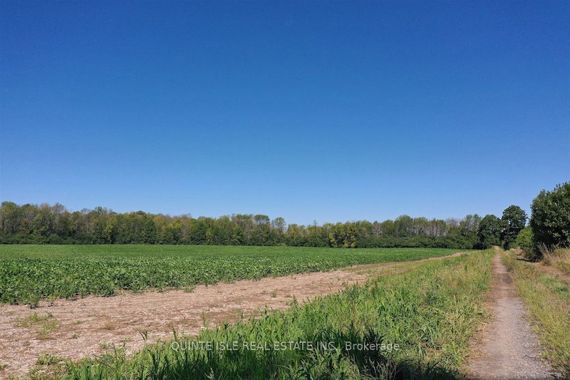 17511 Loyalist Pkwy W, Prince Edward County, K0K 3L0 | Image 2