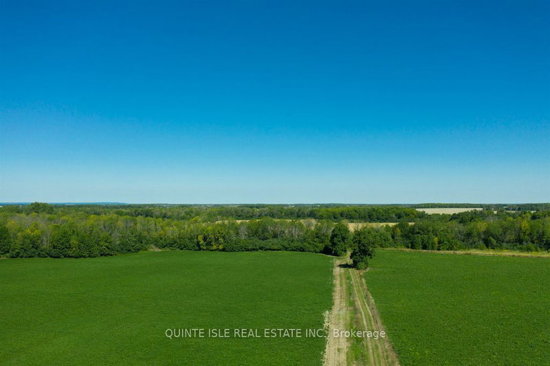 17511 Loyalist Pkwy W, Prince Edward County, K0K 3L0 | Image 3