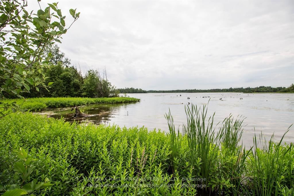 Vacant Land sold at 22 Helen Drive, Kawartha Lakes, Emily, K0L 2W0 - MLS: X9376044