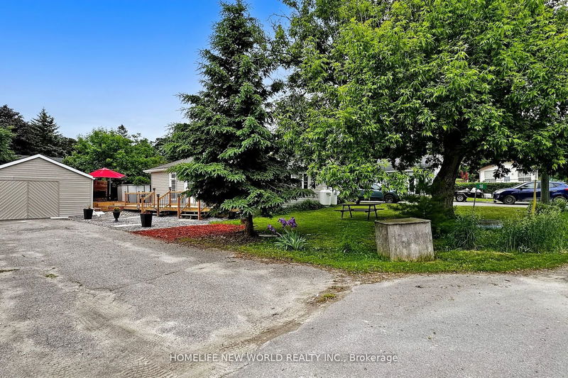 16 Third St  Kawartha Lakes, K0M 1L0 | Image 6