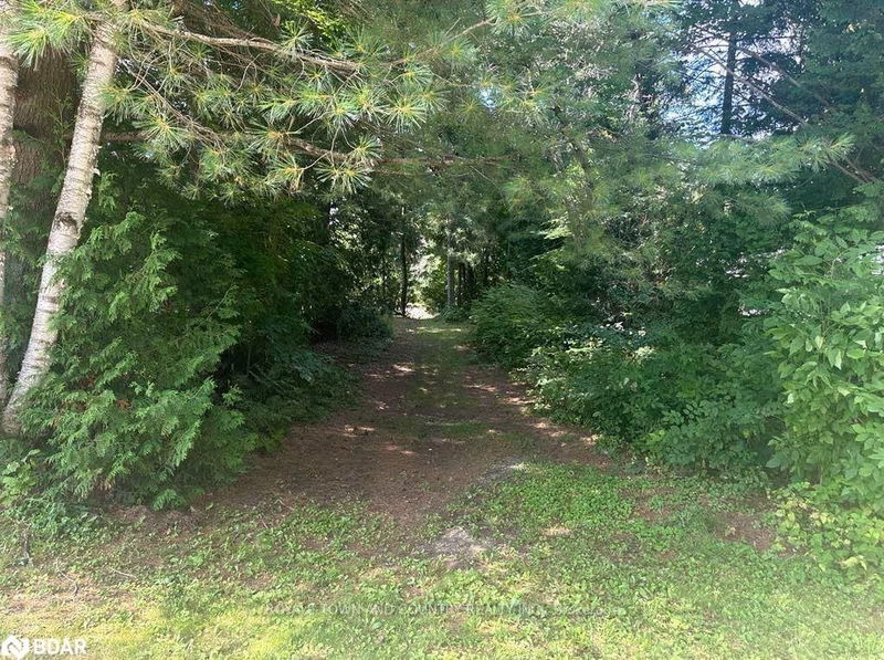 LOT 45 River Rd  Kawartha Lakes, K0M 1N0 | Image 7