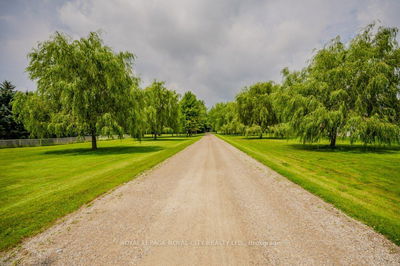 XX XXXX undefined  Guelph/Eramosa, XXX XXX | Image 1